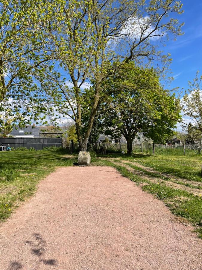 Saint-Mathurin  Gite Au Gre De La Loire Piscine Et Spa מראה חיצוני תמונה